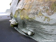 eroded-stones-shells